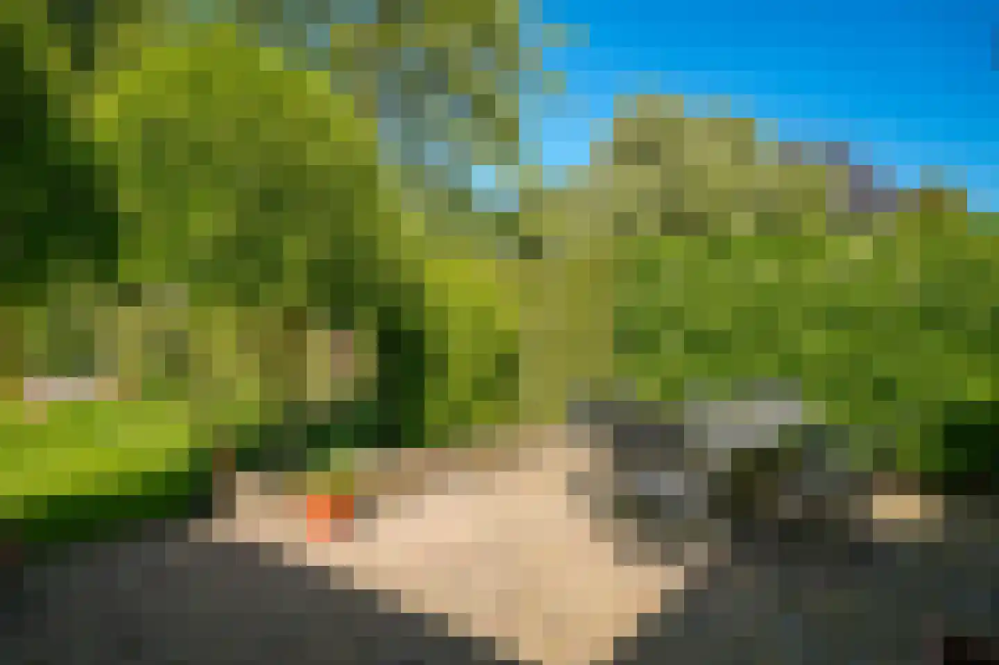 Leeuwensteinlaan 37 Vught thumbnail 35
