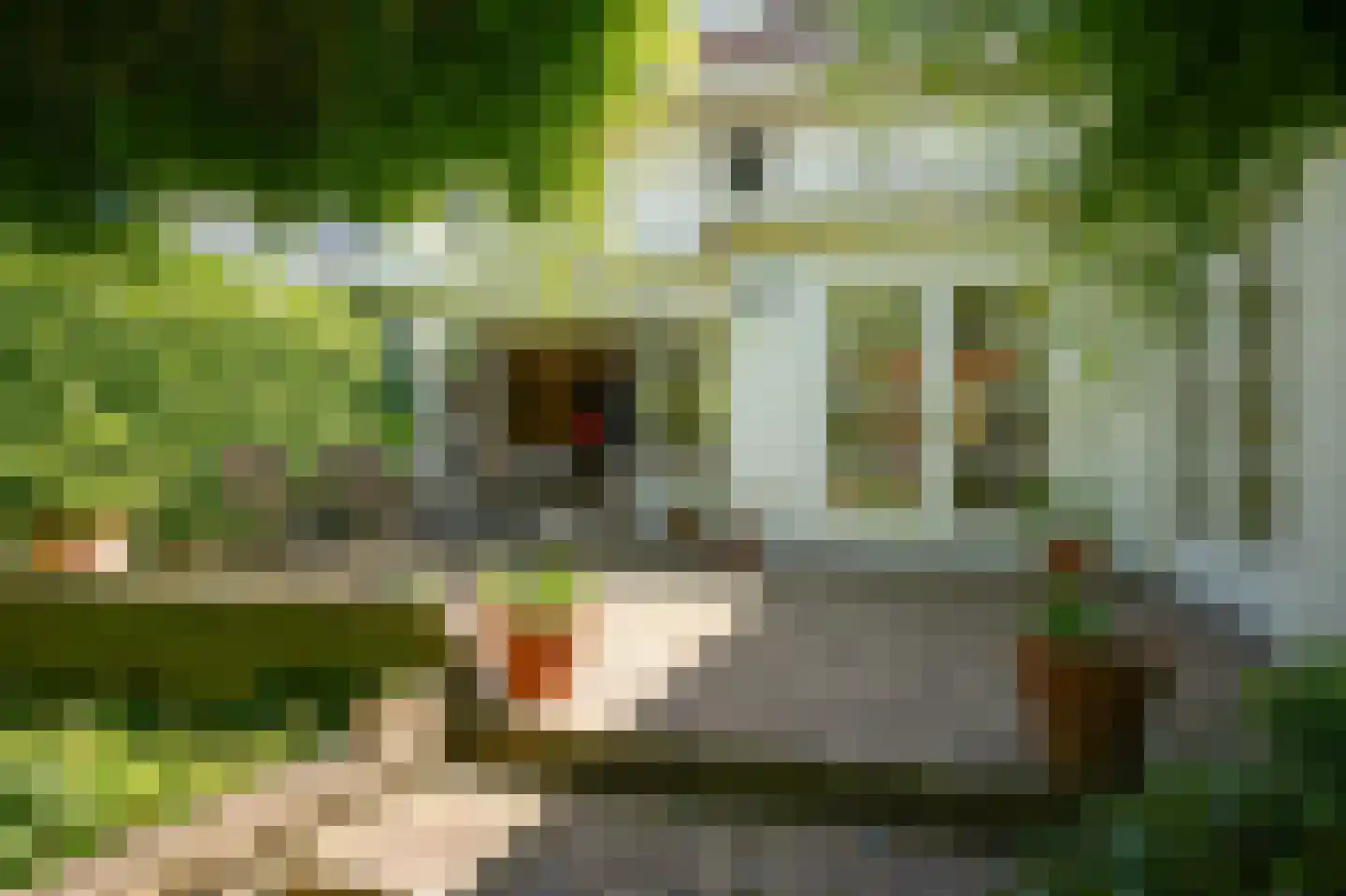 Leeuwensteinlaan 37 Vught thumbnail 36