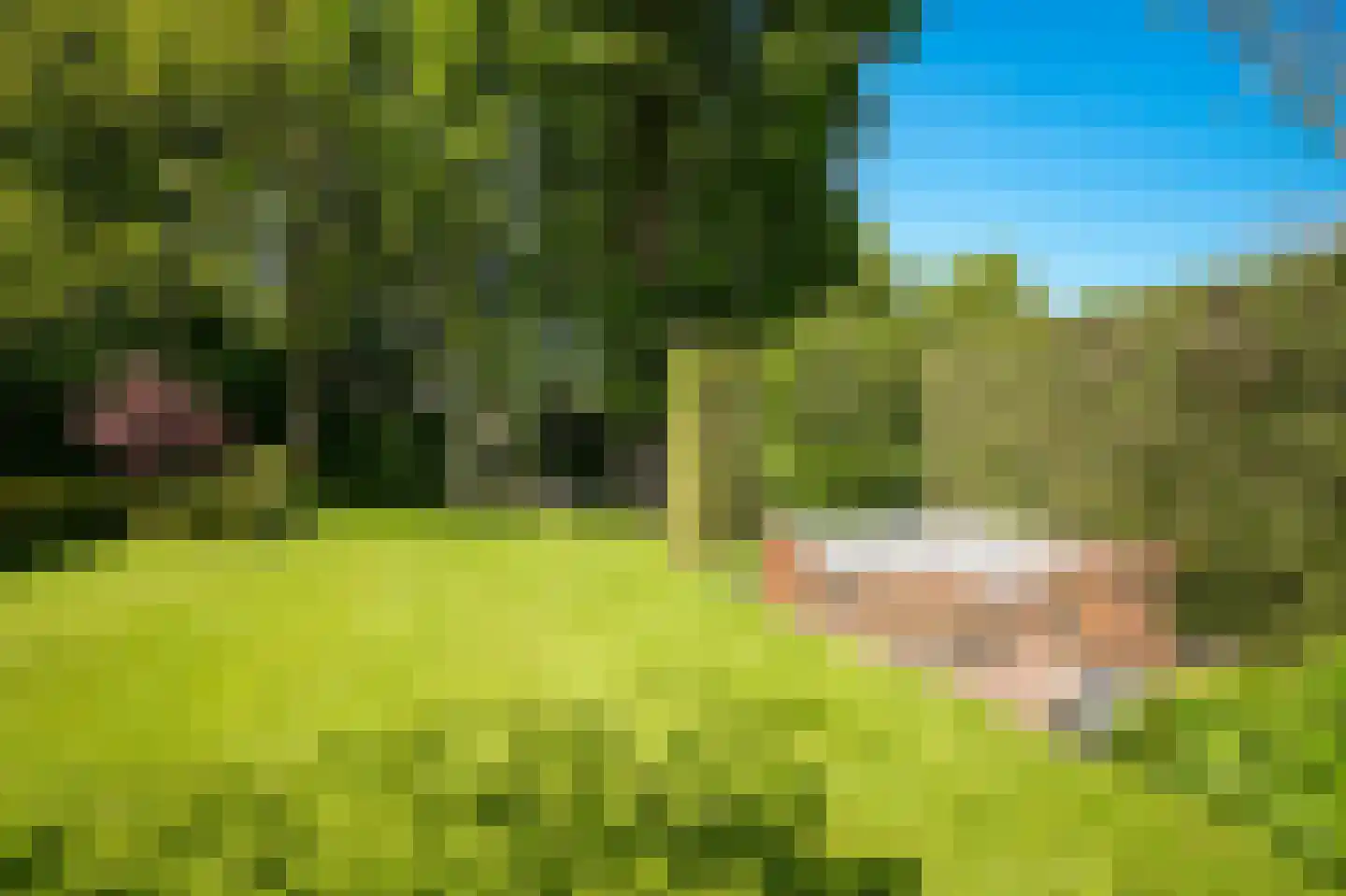 Leeuwensteinlaan 37 Vught thumbnail 37