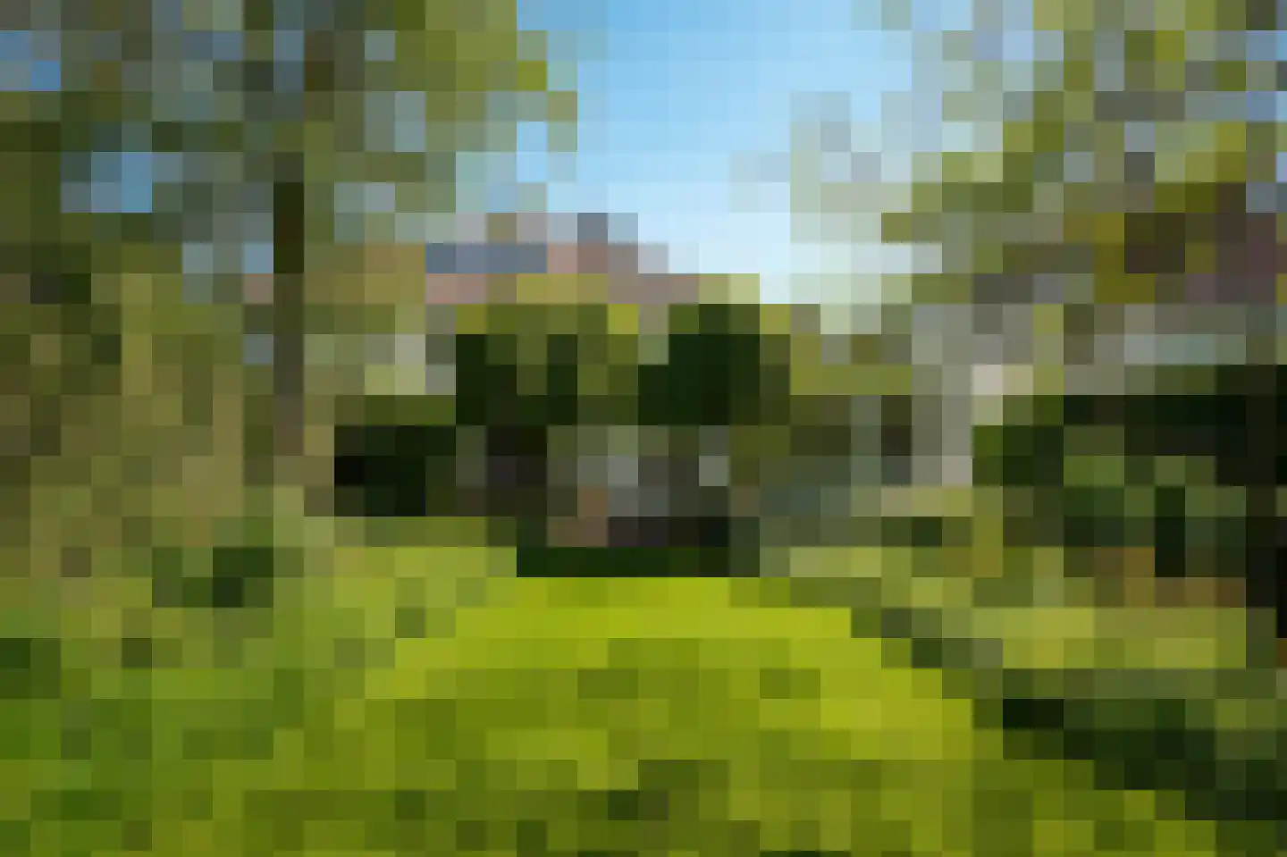 Leeuwensteinlaan 37 Vught thumbnail 39