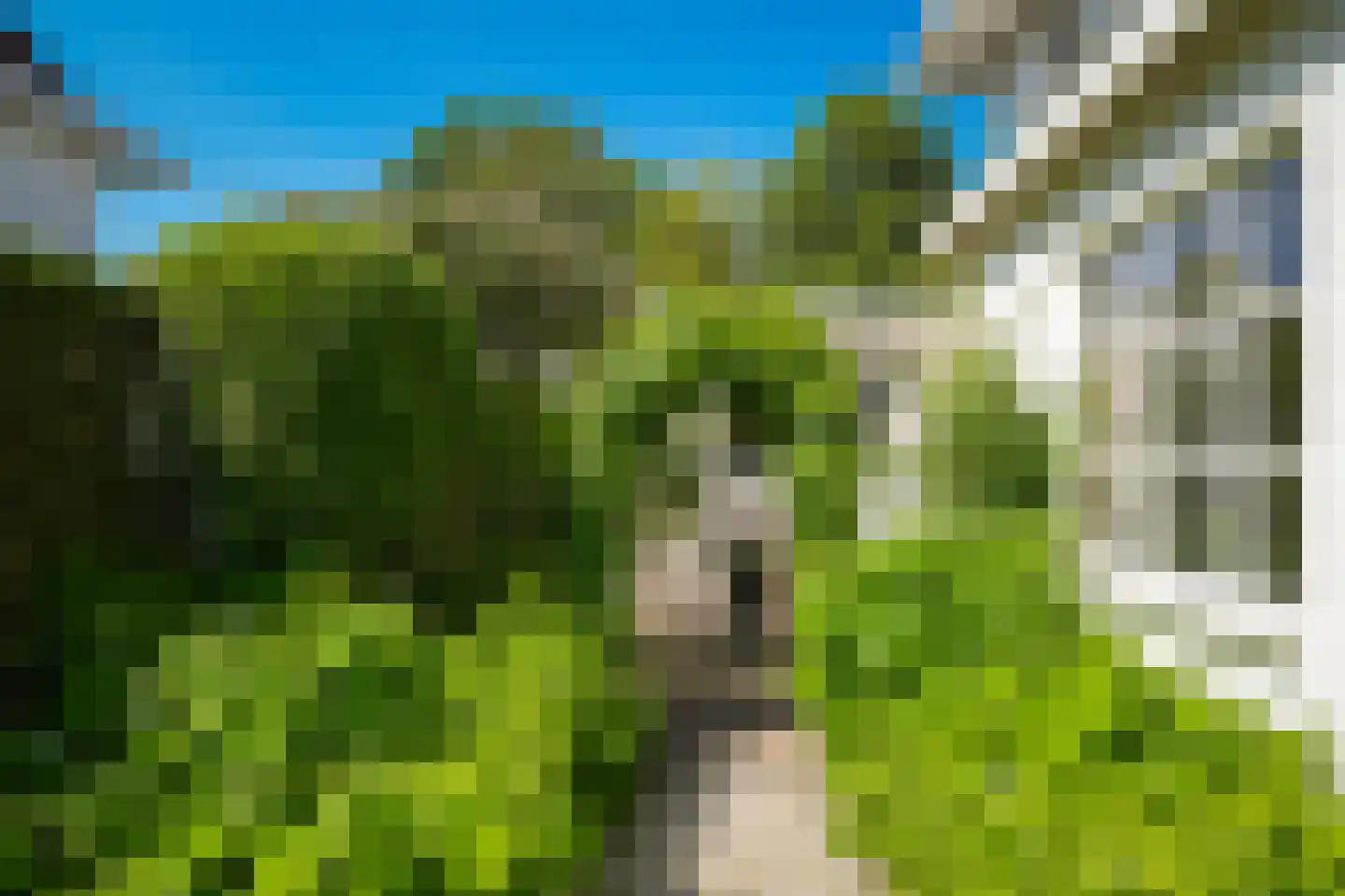 Leeuwensteinlaan 37 Vught thumbnail 43