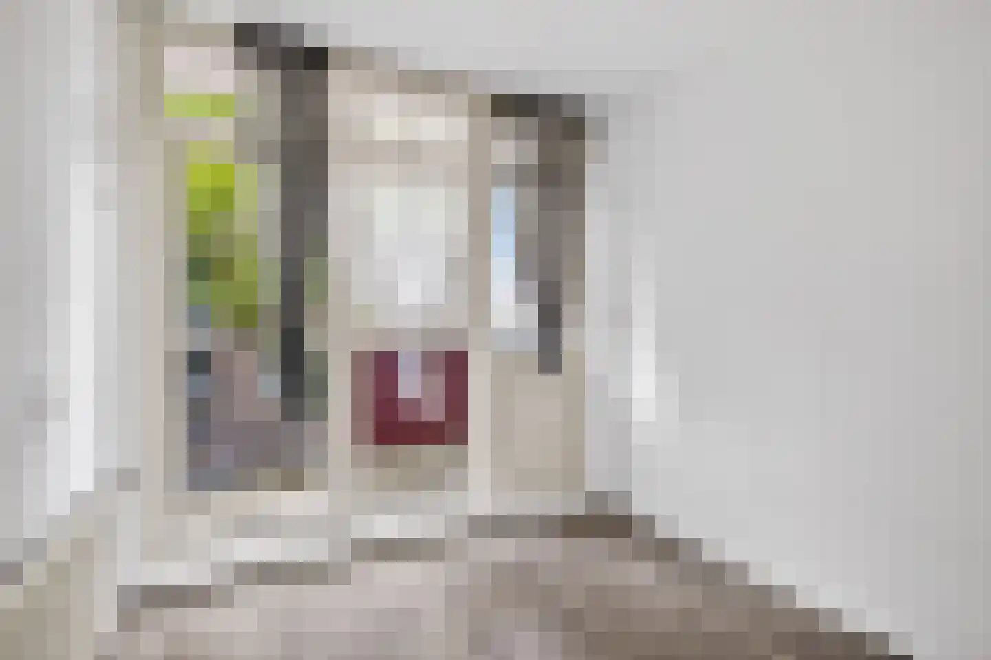 Leeuwensteinplein 8 Arnhem thumbnail 11