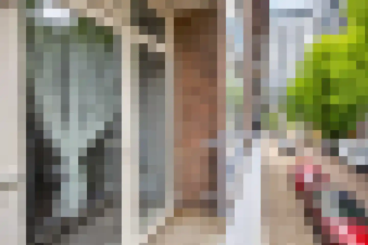 Leeuwensteinplein 8 Arnhem thumbnail 13