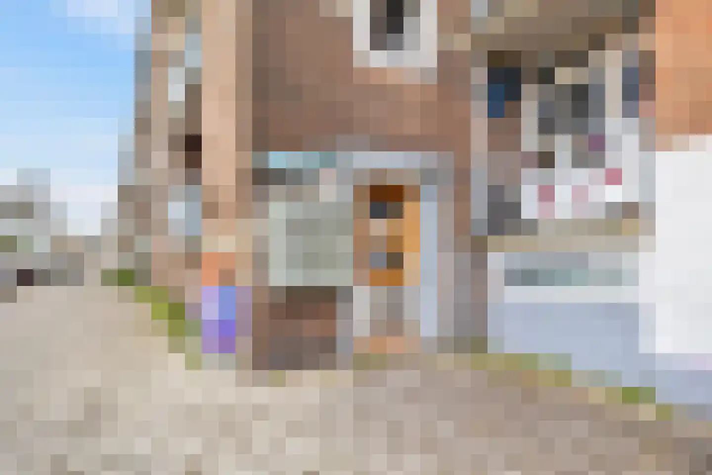 Leeuwensteinplein 8 Arnhem thumbnail 19
