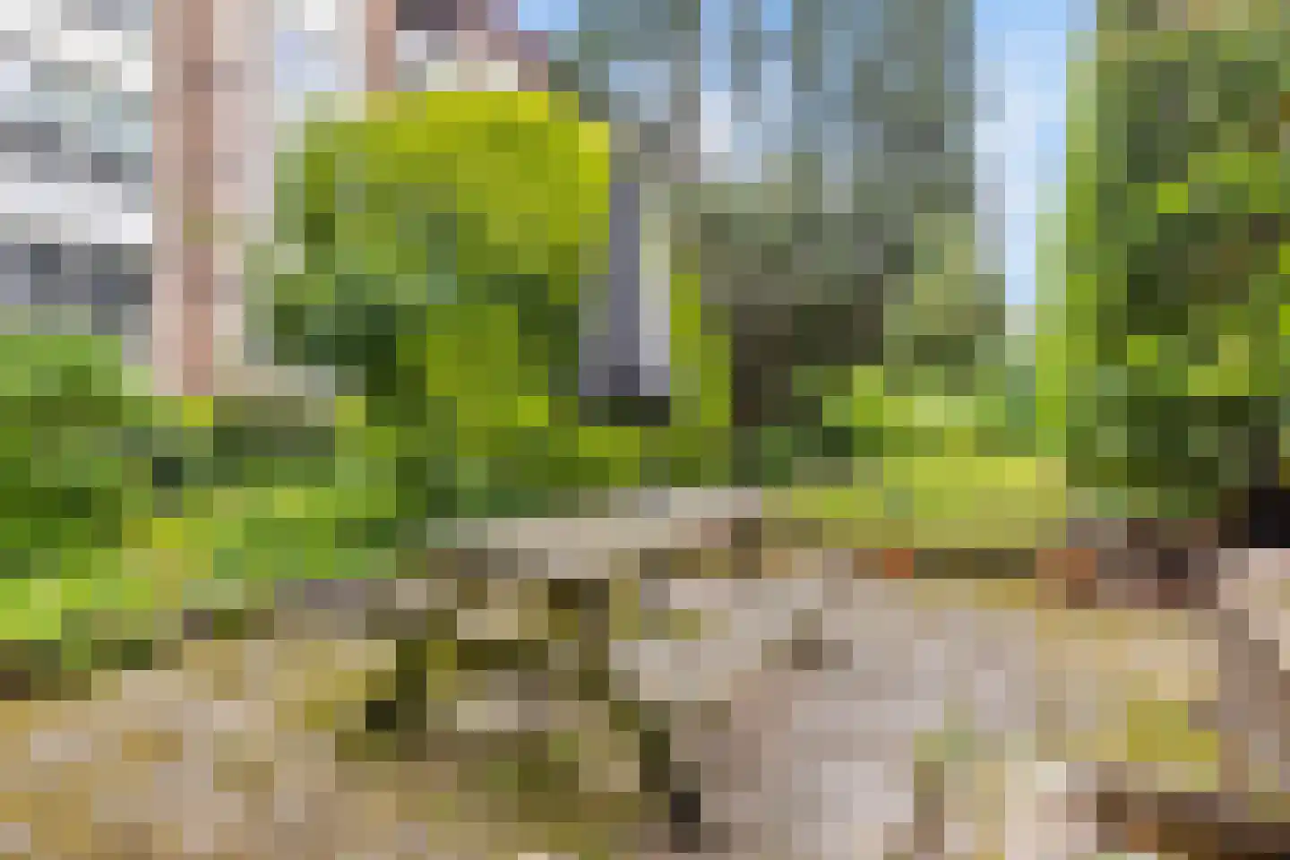 Leeuwensteinplein 8 Arnhem thumbnail 20