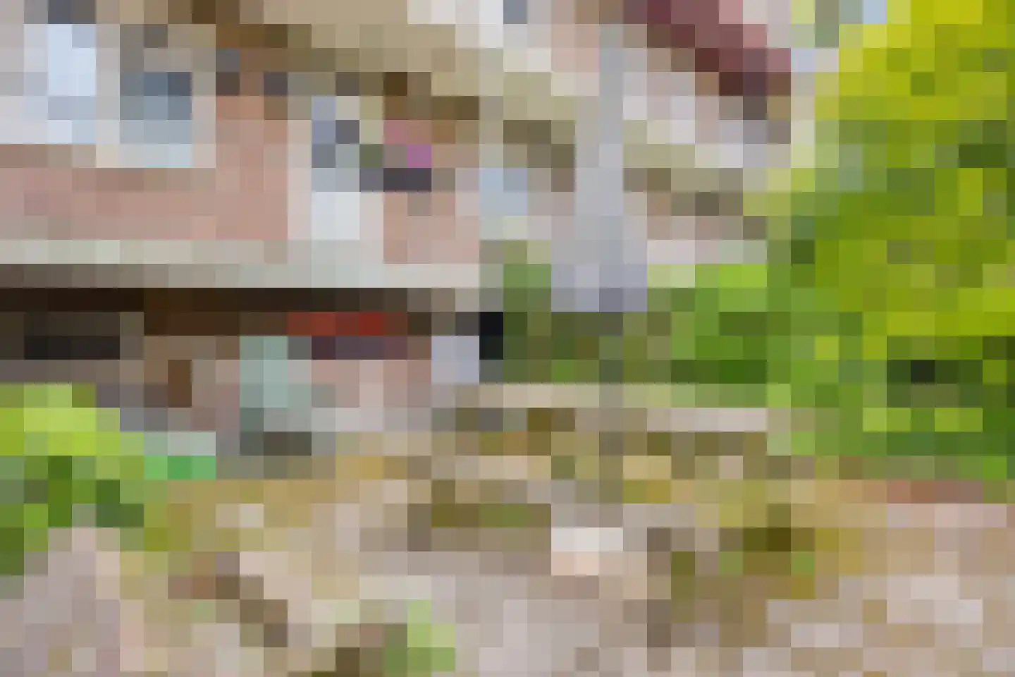 Leeuwensteinplein 8 Arnhem thumbnail 21