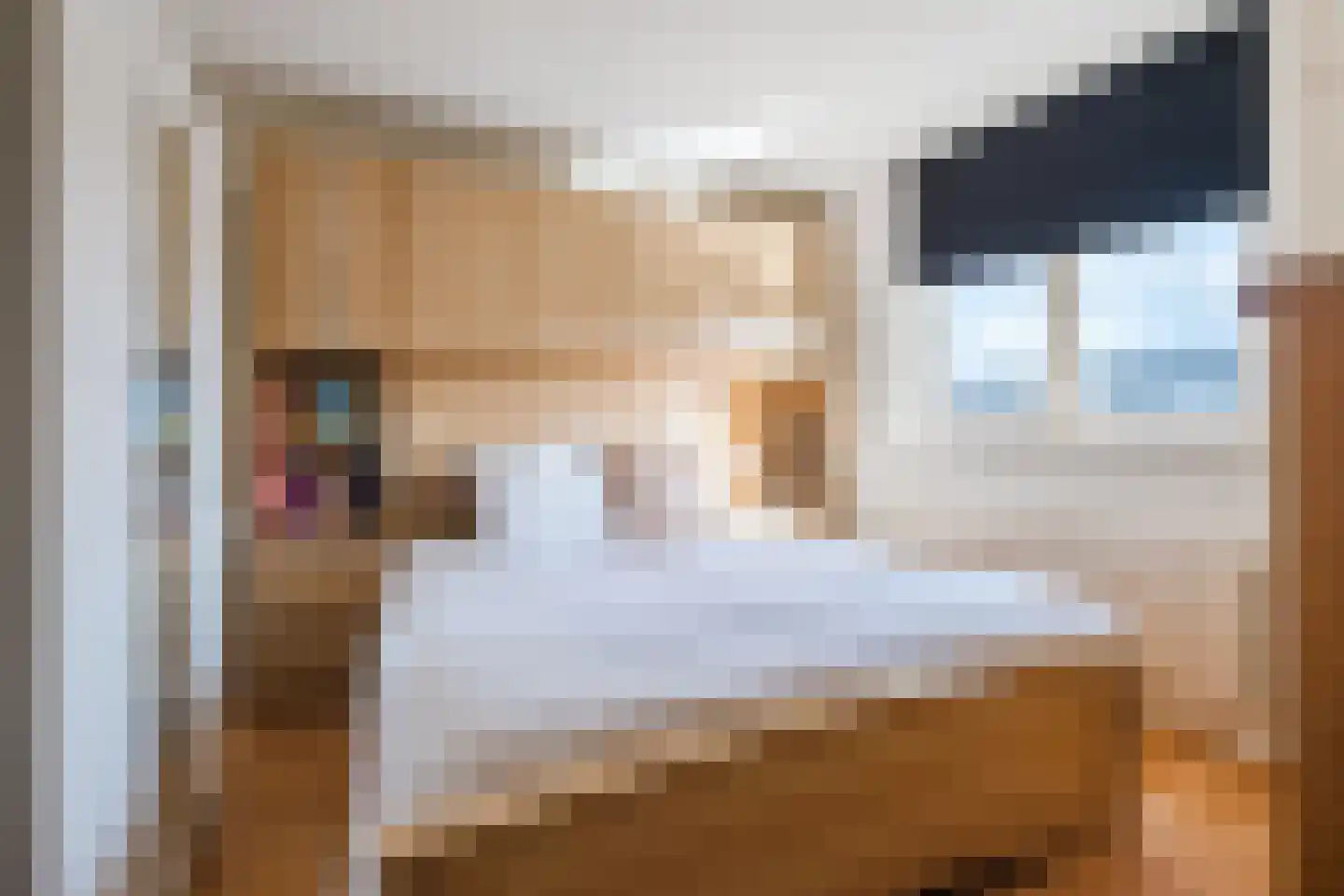 Leeuwenstraat 145 Eindhoven thumbnail 11