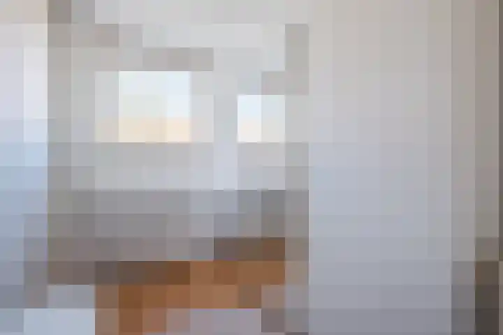 Leeuwenstraat 145 Eindhoven thumbnail 13