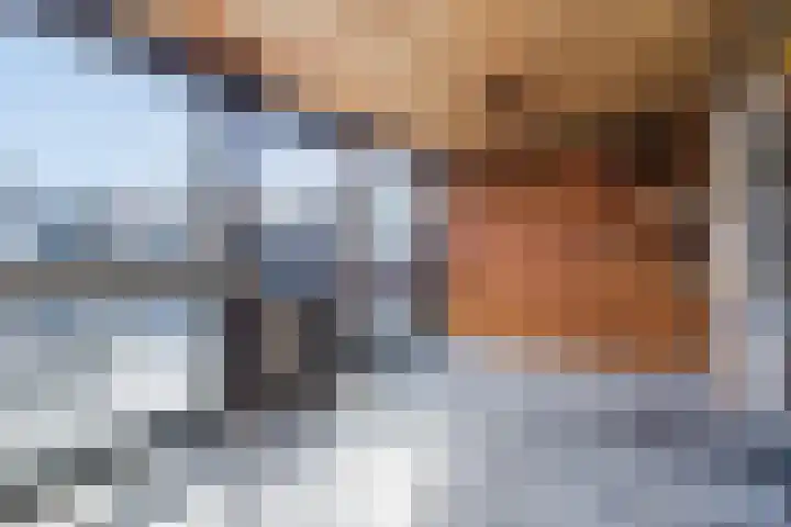 Leeuwenstraat 145 Eindhoven thumbnail 22