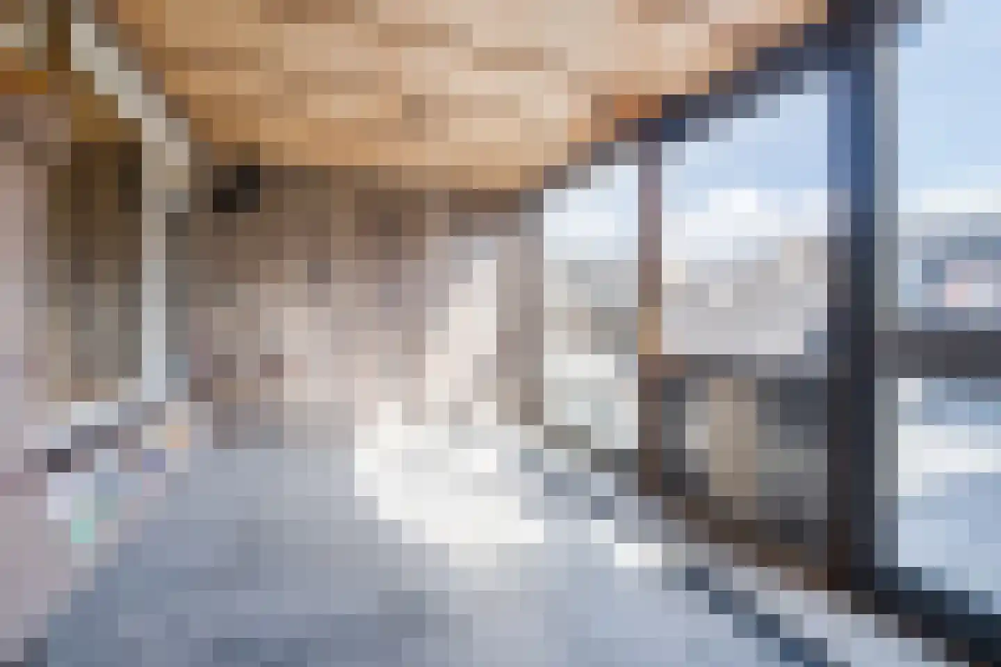 Leeuwenstraat 145 Eindhoven thumbnail 23