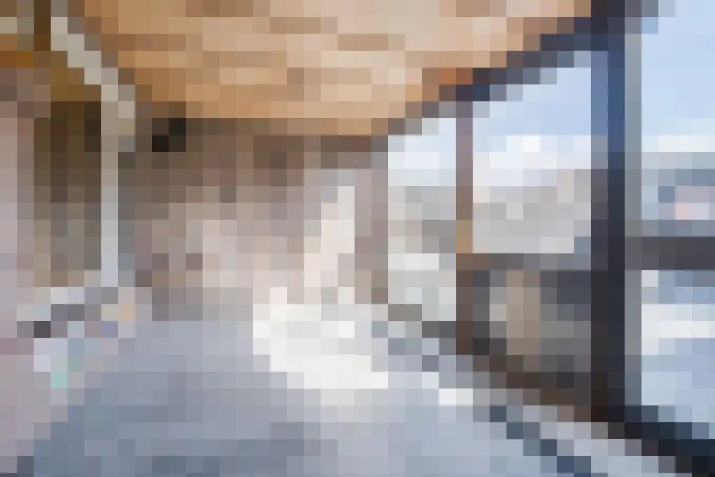 Leeuwenstraat 145 Eindhoven thumbnail 23