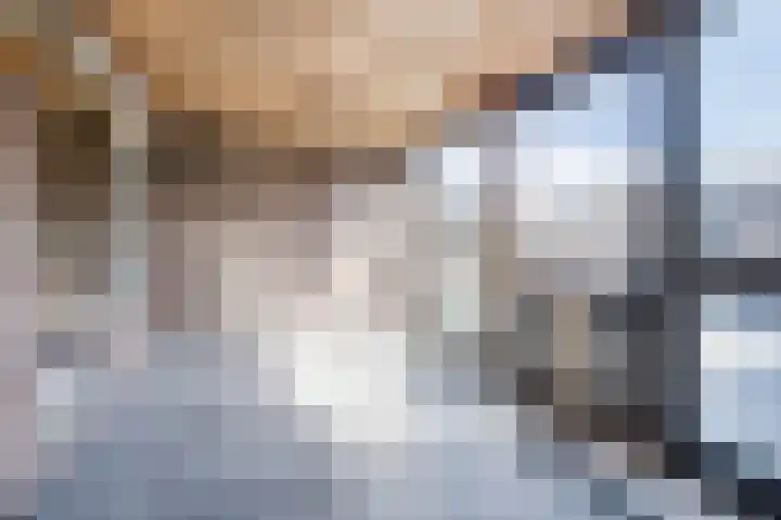 Leeuwenstraat 145 Eindhoven thumbnail 23