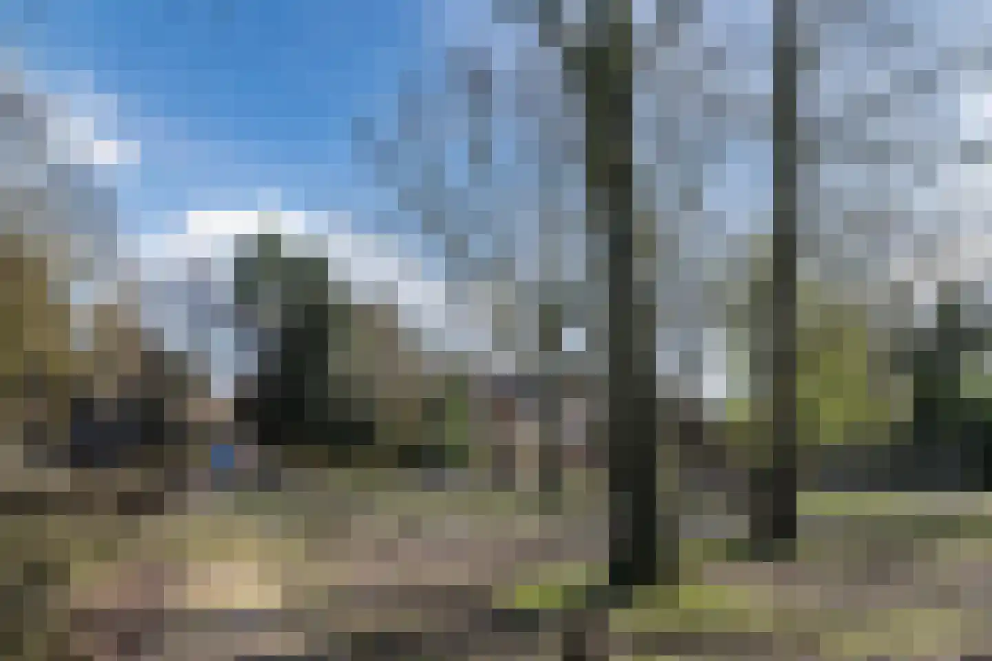 Leeuwenstraat 145 Eindhoven thumbnail 30