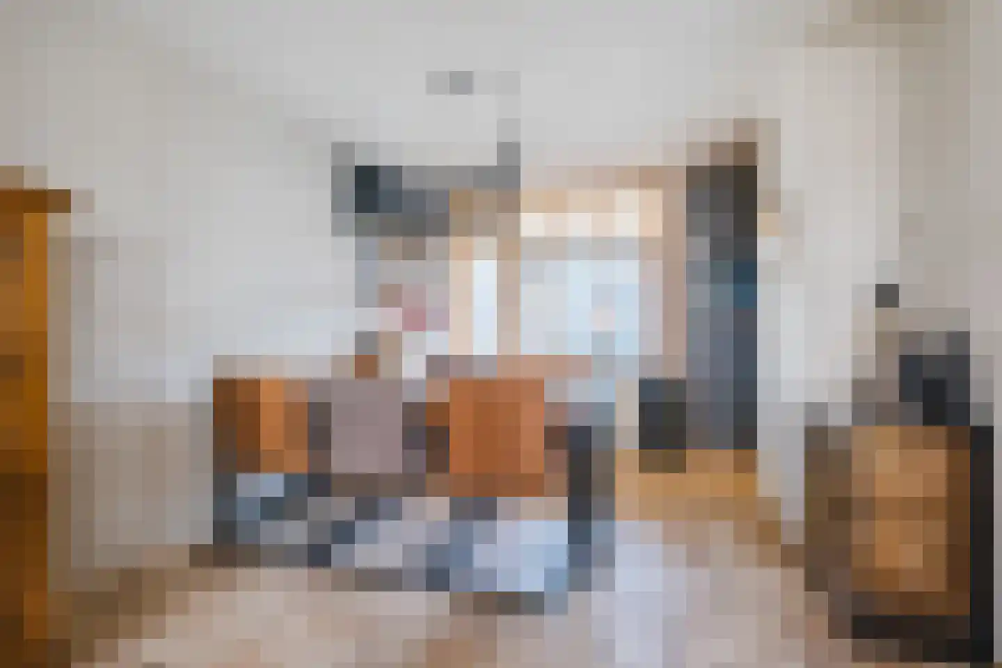 Leeuwenstraat 145 Eindhoven thumbnail 8