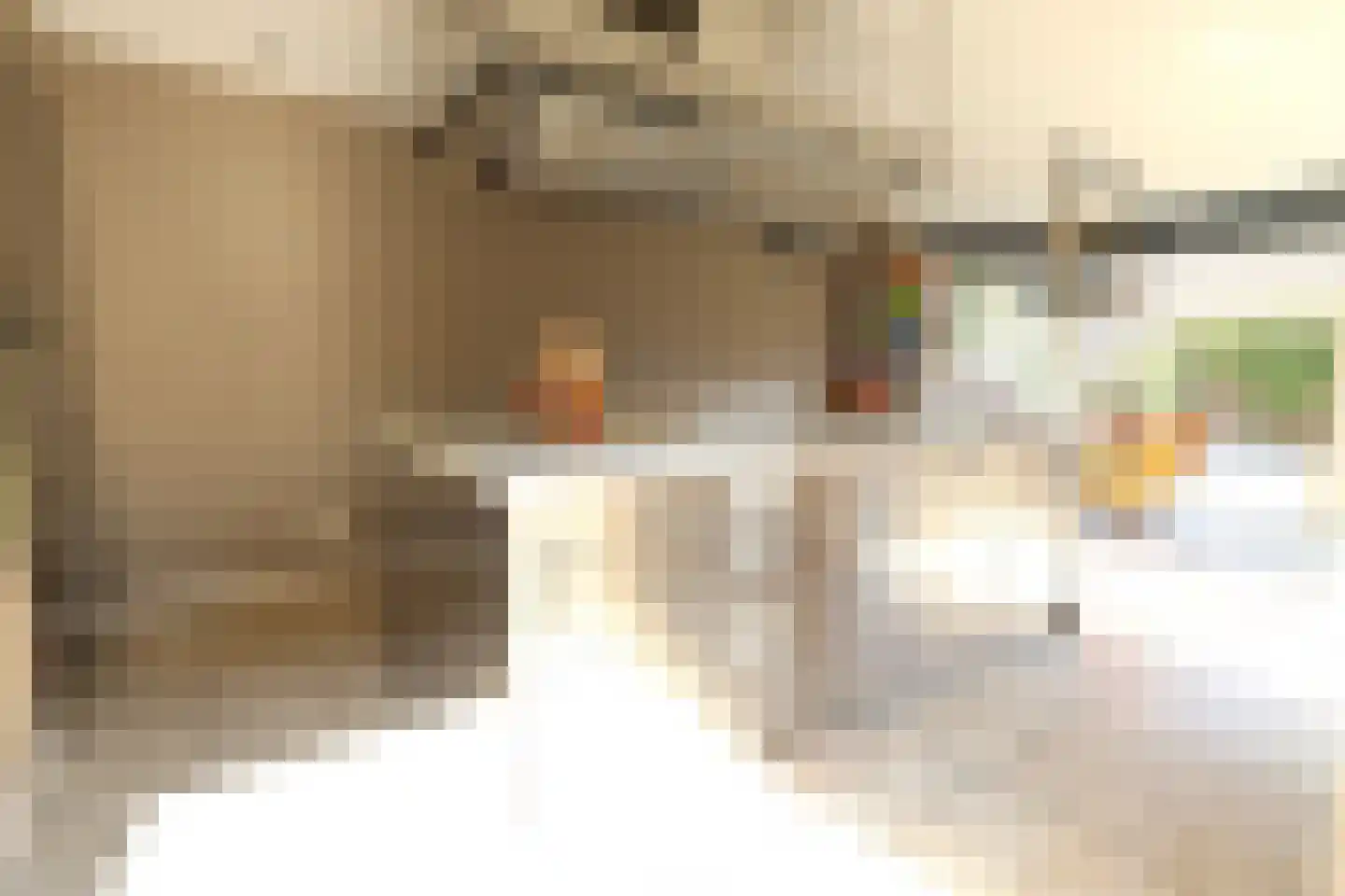 Leeuwenstraat 28 Oosterhout thumbnail 15