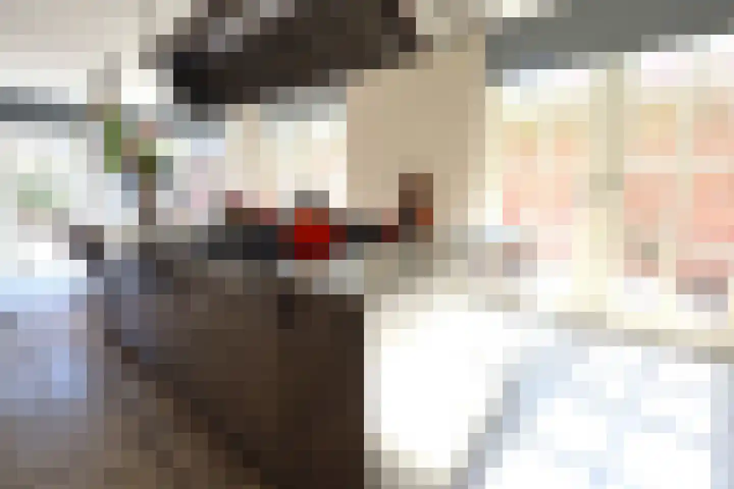 Leeuwenstraat 28 Oosterhout thumbnail 16