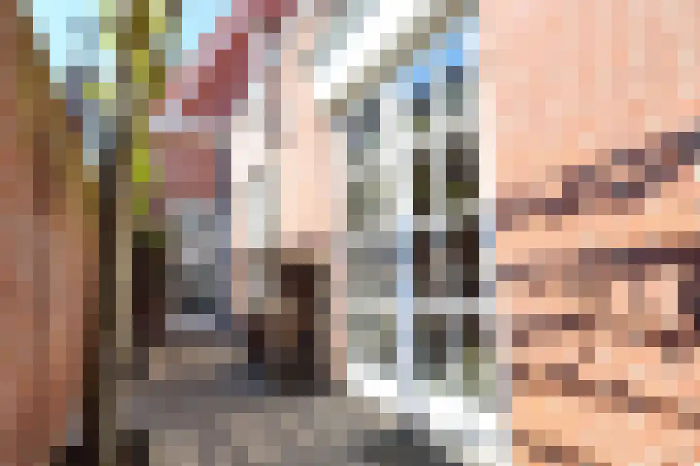 Leeuwenstraat 28 Oosterhout thumbnail 21