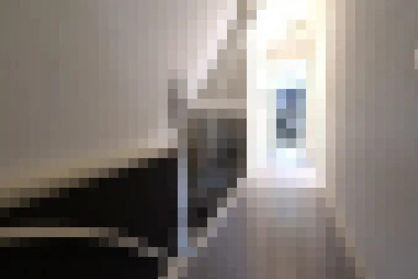 Leeuwenstraat 28 Oosterhout thumbnail 28
