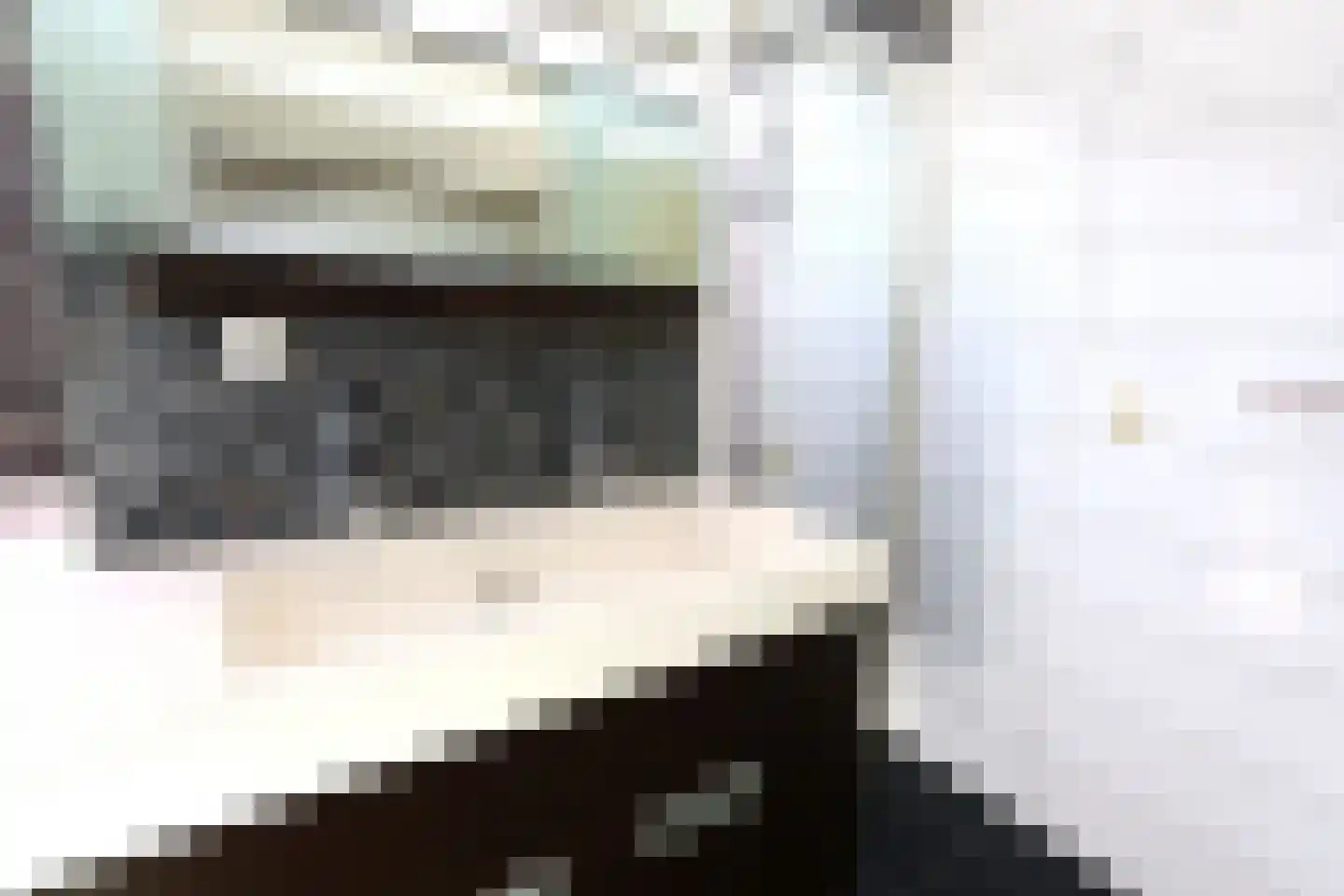 Leeuwenstraat 28 Oosterhout thumbnail 32