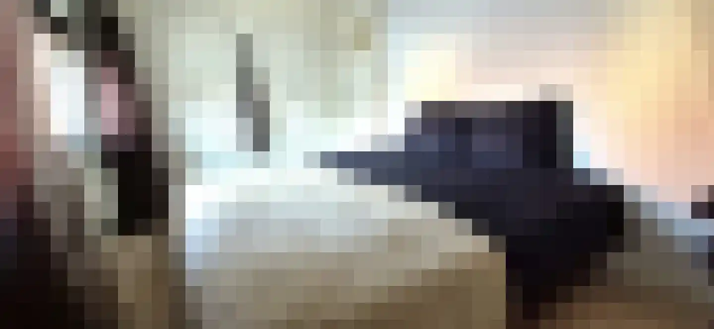 Leeuwenstraat 28 Oosterhout thumbnail 37