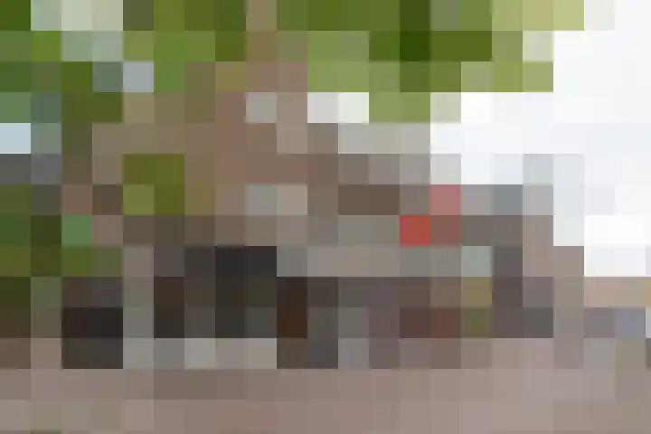 Leeuwenstraat 52 A Hilversum thumbnail 14