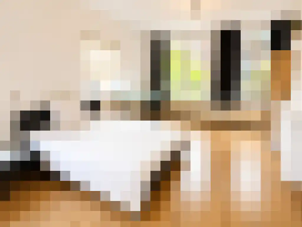 Leeuwenstraat Rotterdam thumbnail 4