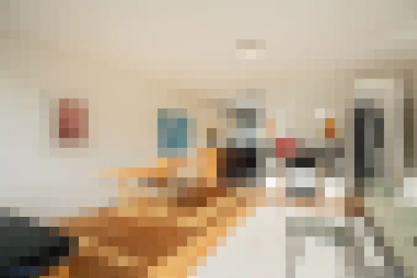 Leeuwenwerf 105 Amsterdam thumbnail 11