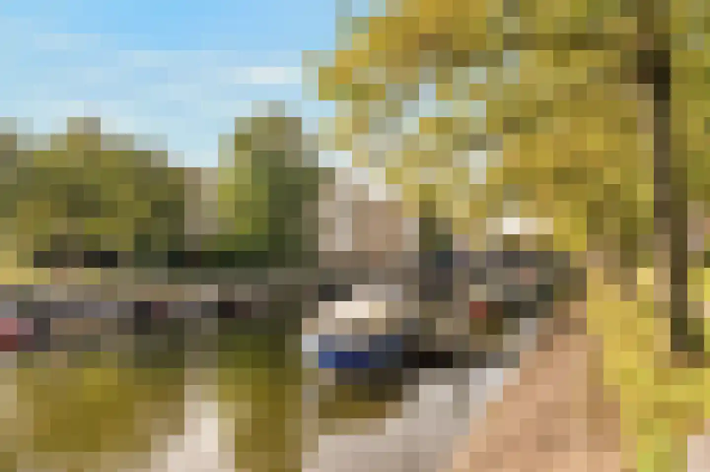 Leeuwenwerf 105 Amsterdam thumbnail 37