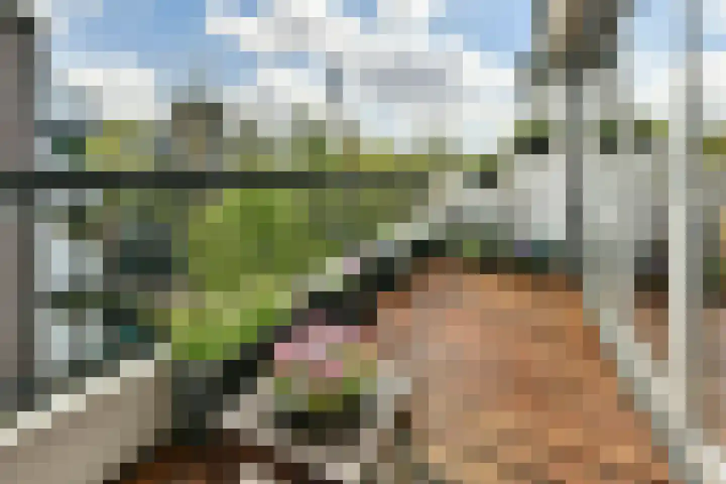 Leeuwenwerf 113 Amsterdam thumbnail 12