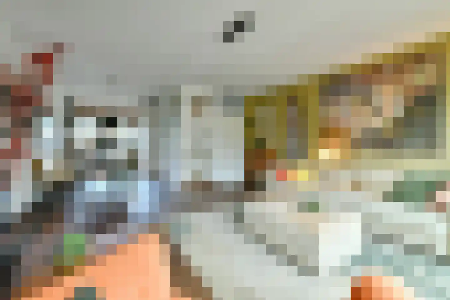 Leeuwenwerf 113 Amsterdam thumbnail 4