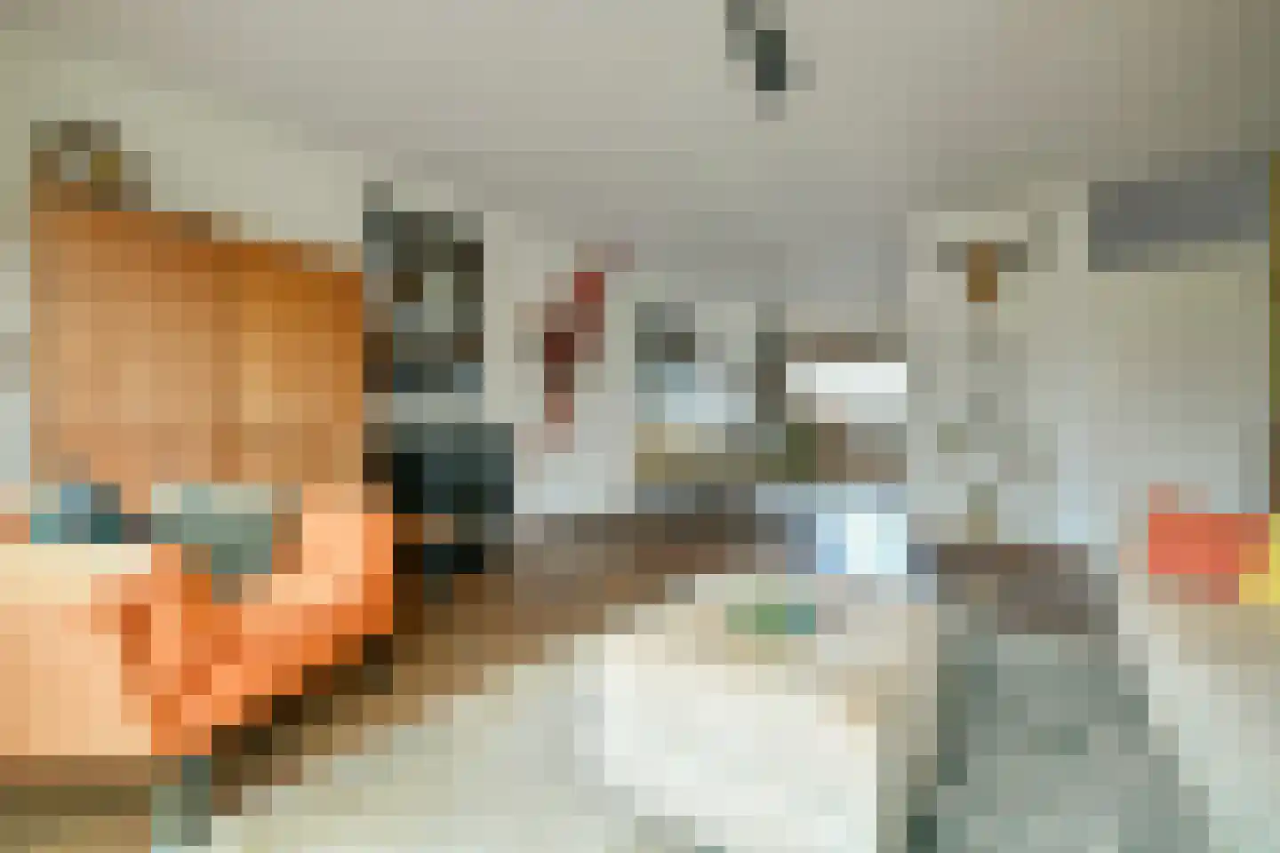 Leeuwenwerf 113 Amsterdam thumbnail 5
