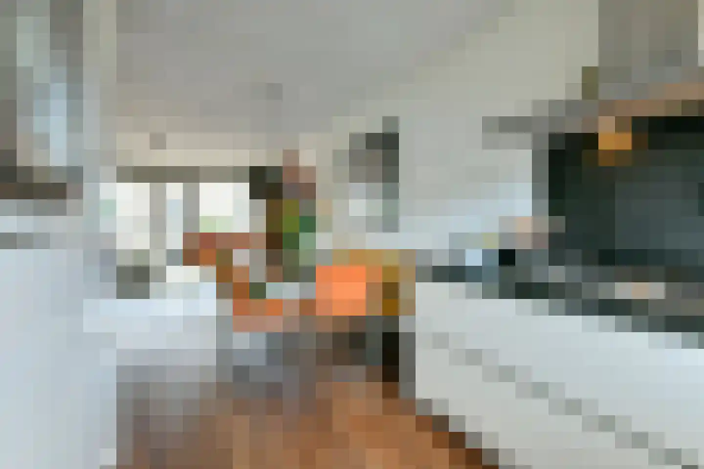 Leeuwenwerf 113 Amsterdam thumbnail 6