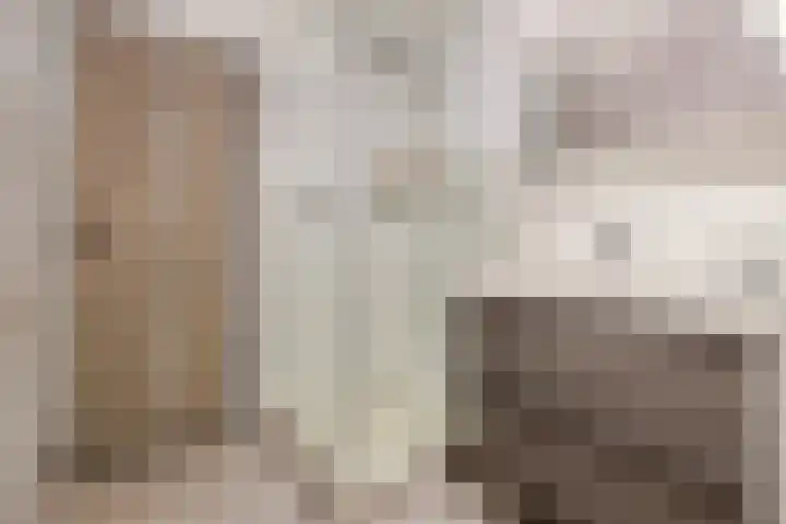 Leeuwenwerf 126 Amsterdam thumbnail 19
