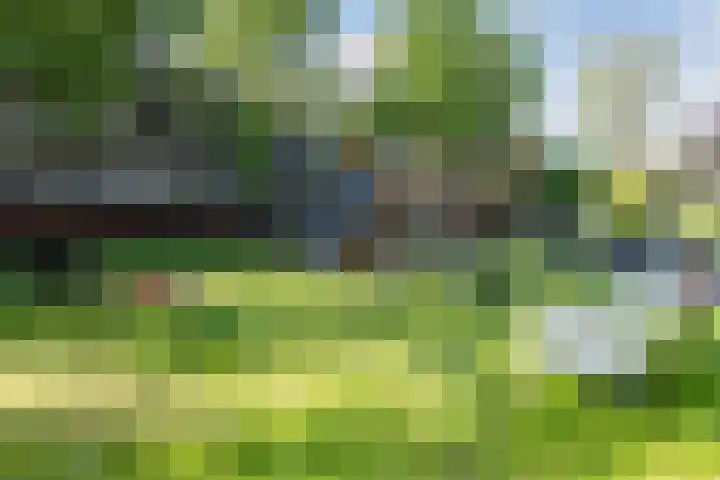 Leeuwenwerf 126 Amsterdam thumbnail 21