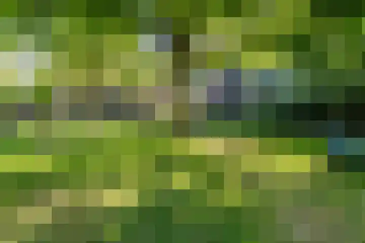 Leeuwenwerf 126 Amsterdam thumbnail 22