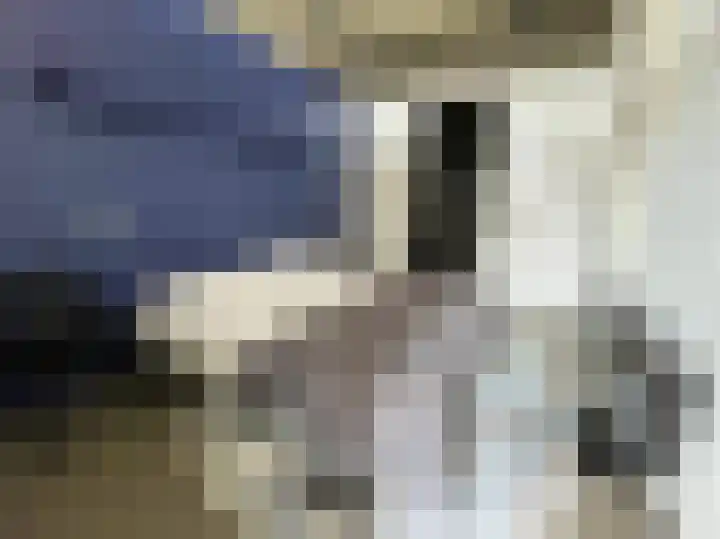 Leeuwenwerf 126 Amsterdam thumbnail 25