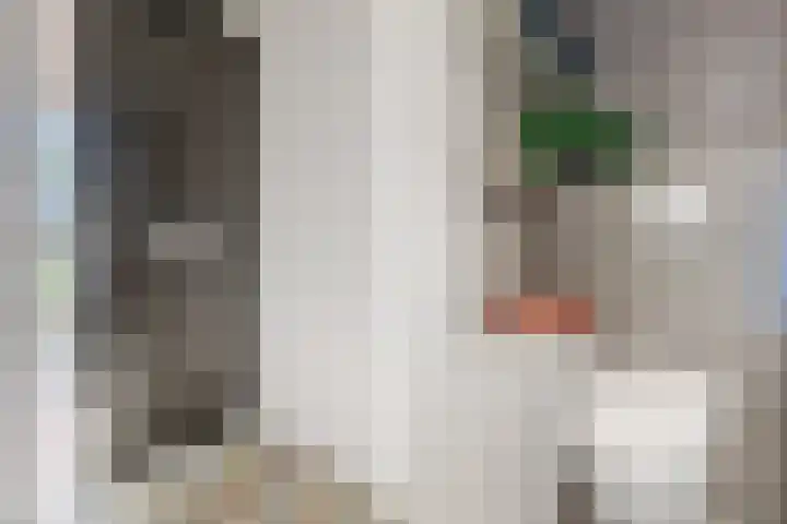 Leeuwenwerf 126 Amsterdam thumbnail 8