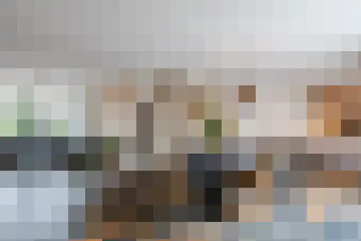 Leeuwerik 11 Bunschoten-Spakenburg thumbnail 14
