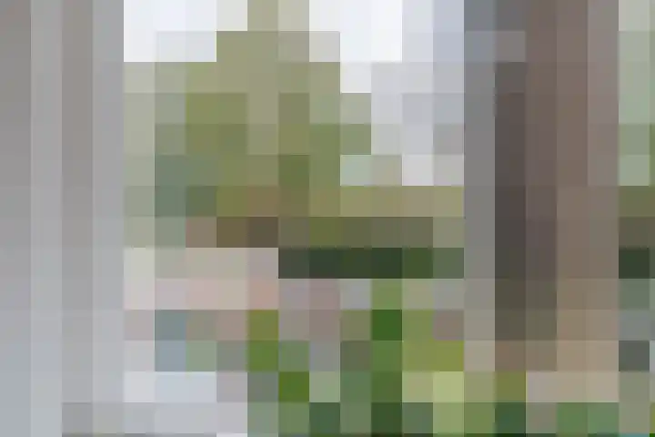Leeuwerik 11 Bunschoten-Spakenburg thumbnail 24