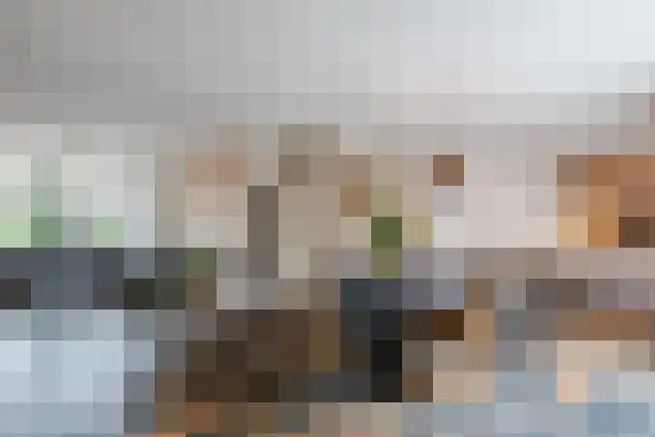 Leeuwerik 11 Bunschoten-Spakenburg thumbnail 4