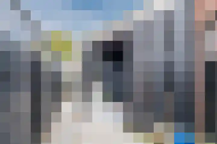 Leeuwerik 11 Bunschoten-Spakenburg thumbnail 48