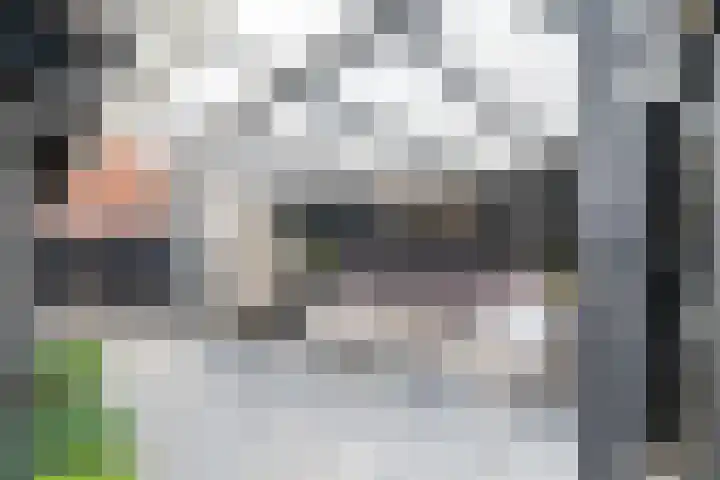 Leeuwerik 11 Bunschoten-Spakenburg thumbnail 49
