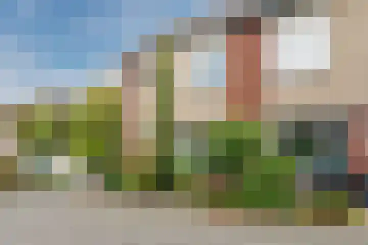 Leeuwerik 11 Bunschoten-Spakenburg thumbnail 52
