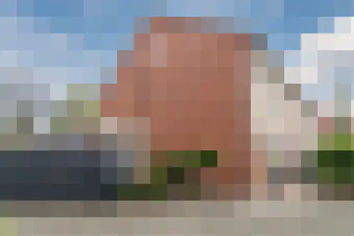 Leeuwerik 11 Bunschoten-Spakenburg thumbnail 53