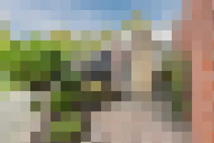 Leeuwerik 11 Bunschoten-Spakenburg thumbnail 6
