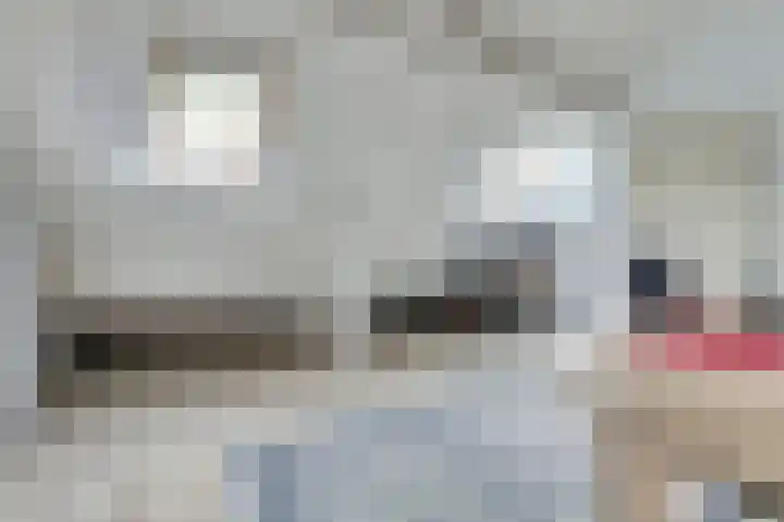 Leeuwerik 11 Doorn thumbnail 15