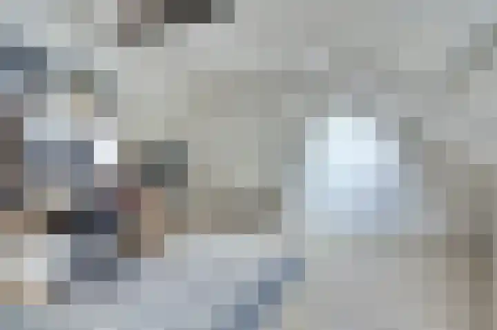 Leeuwerik 11 Doorn thumbnail 16