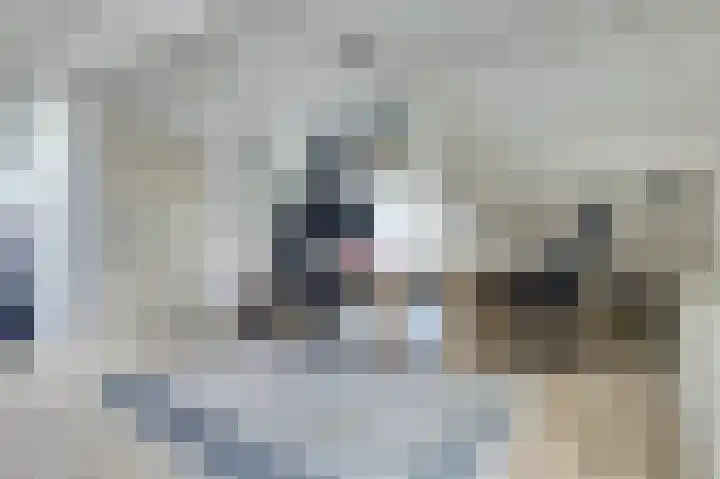 Leeuwerik 11 Doorn thumbnail 17