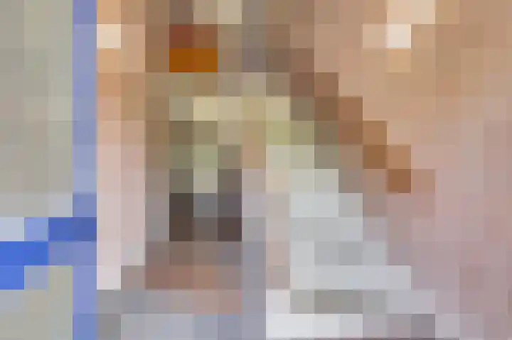 Leeuwerik 11 Doorn thumbnail 22