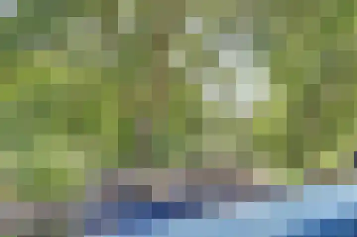 Leeuwerik 11 Doorn thumbnail 23